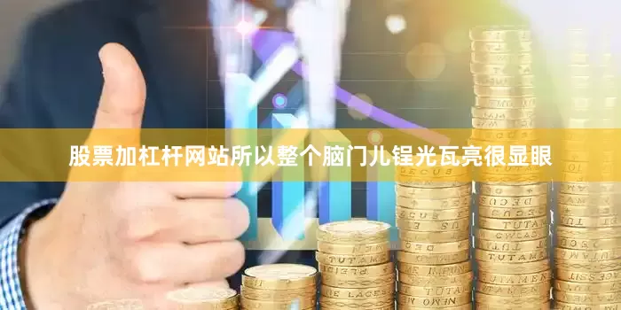股票加杠杆网站所以整个脑门儿锃光瓦亮很显眼