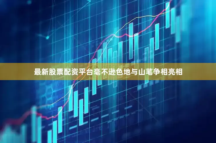 最新股票配资平台毫不逊色地与山芼争相亮相