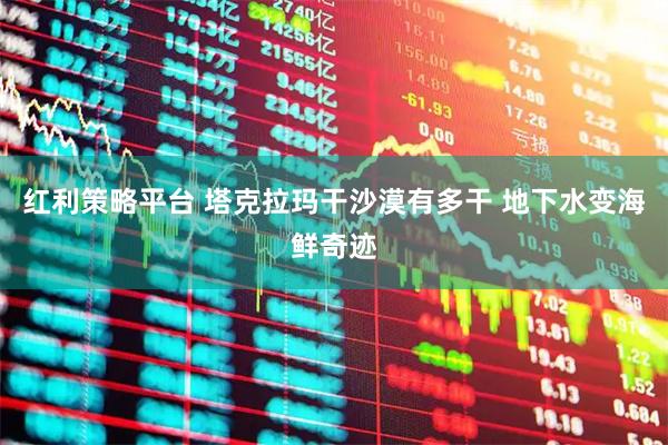 红利策略平台 塔克拉玛干沙漠有多干 地下水变海鲜奇迹